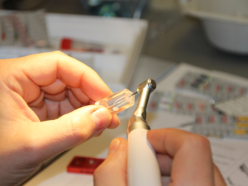 Let's talk about Endo! - Kompakt! (mit Hands-On-Schulung)